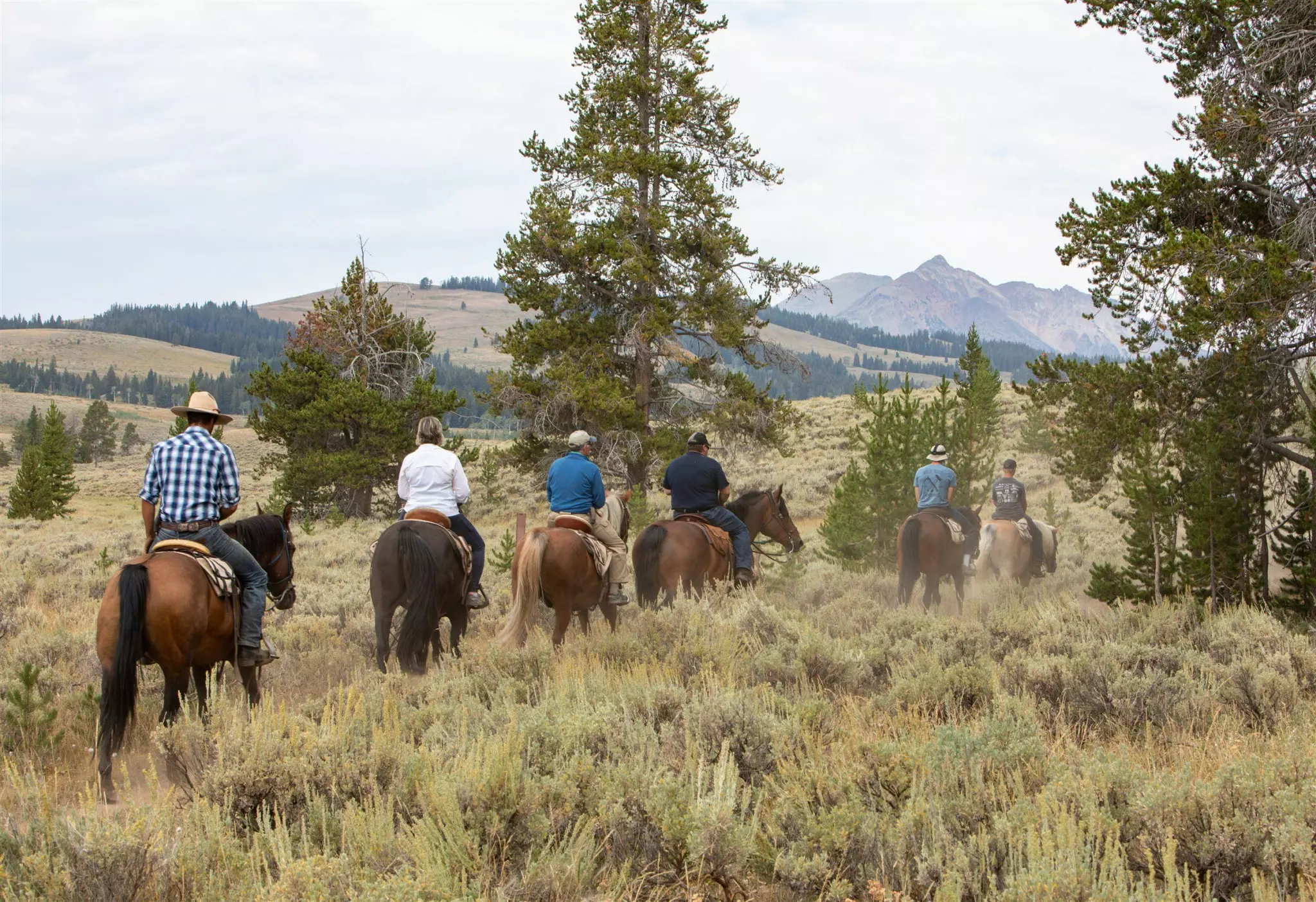 Six riders seen from behind ride single file through sagebrush and pines toward a distant rocky mountain peak
