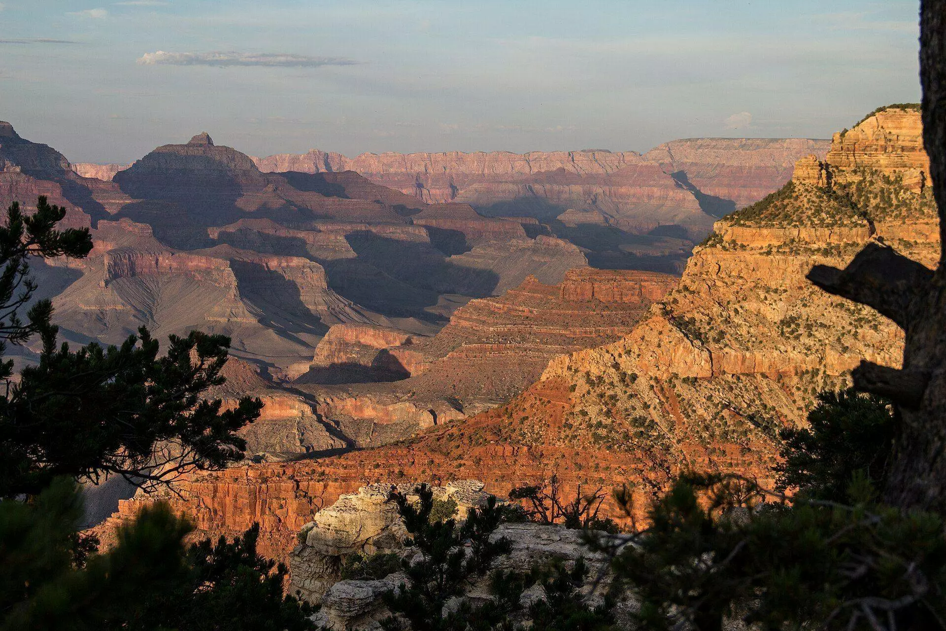 Layered red buttes and temples of the Grand Canyon glowing in warm sunset light, framed by dark pines on the South Rim
