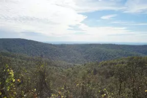 Forested Ouachita Mountain ridges rolling toward a hazy horizon under wispy white clouds and blue sky, yellow autumn leaves in the foreground