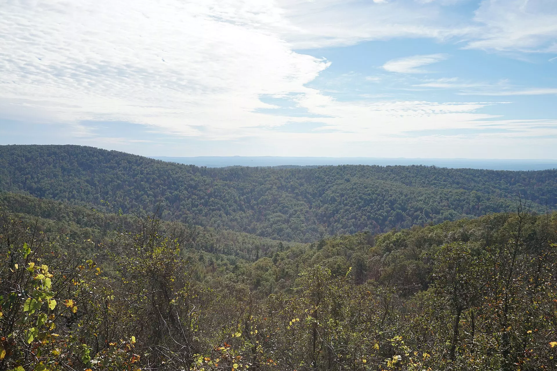 Forested Ouachita Mountain ridges rolling toward a hazy horizon under wispy white clouds and blue sky, yellow autumn leaves in the foreground