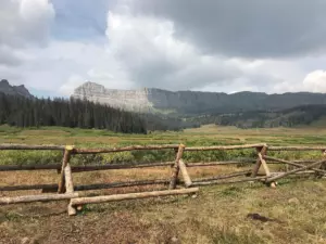 Long layered cliff above a dark conifer forest and green meadow, with a rustic log fence in front