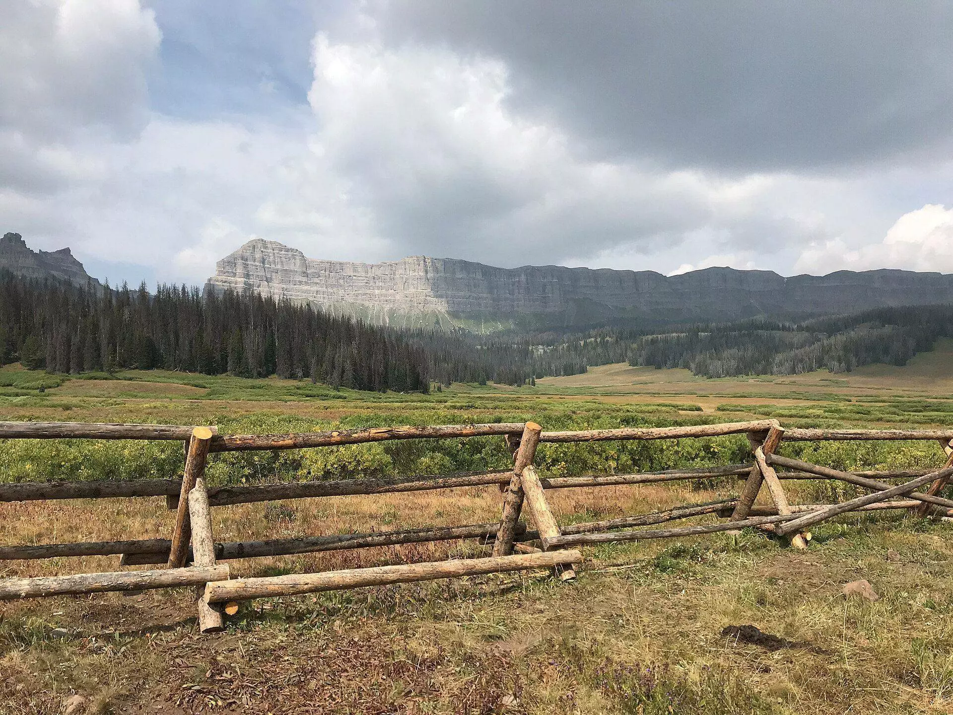 Long layered cliff above a dark conifer forest and green meadow, with a rustic log fence in front