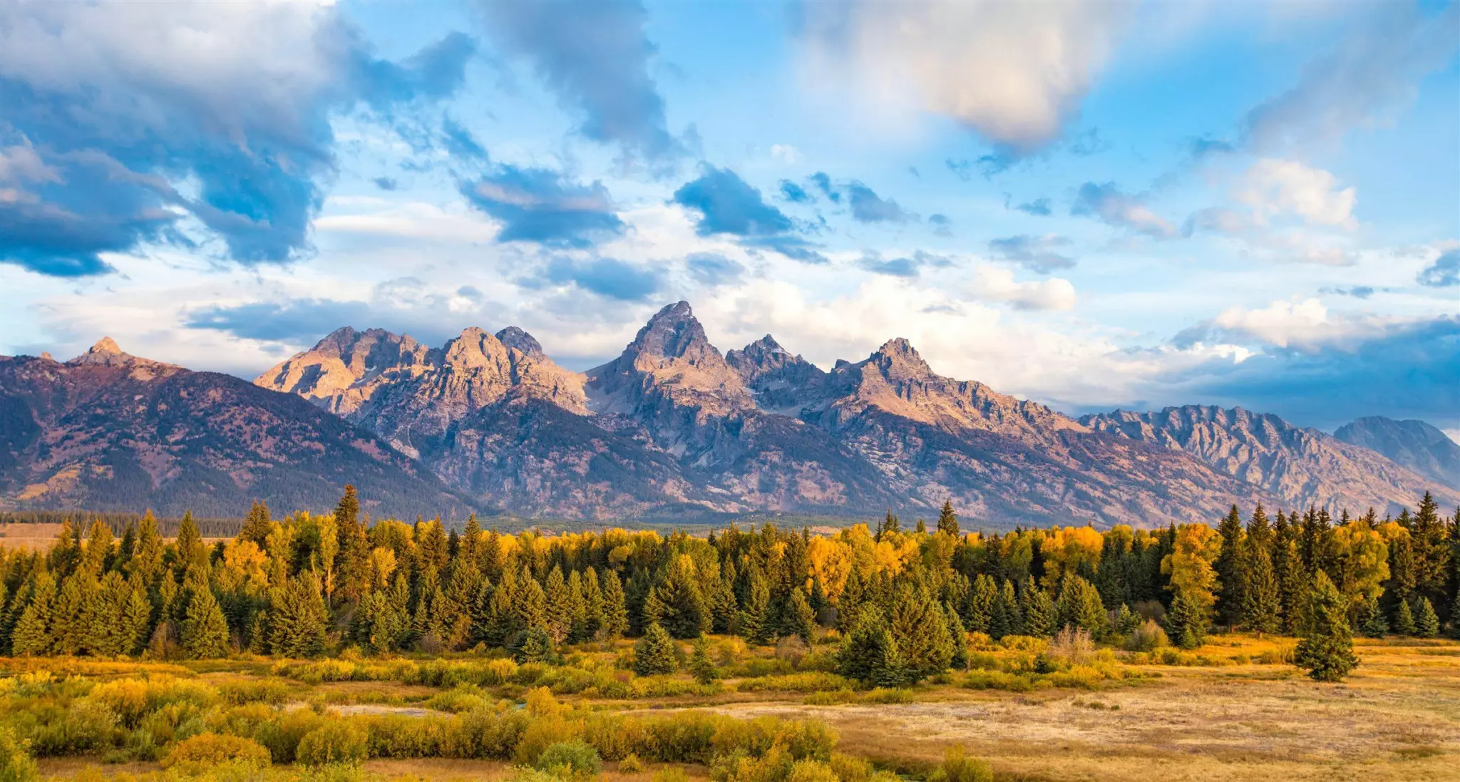 Jagged Teton Range peaks above golden autumn aspens and dark conifers under a cloudy blue sky
