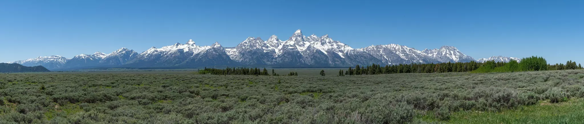 Snow-capped Teton Range rising above a wide sagebrush flat under a clear blue sky