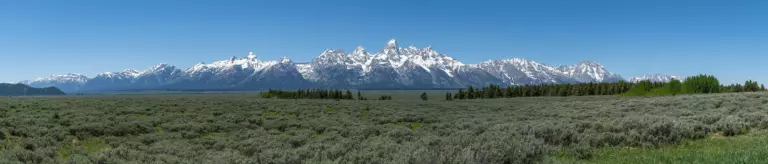 Snow-capped Teton Range rising above a wide sagebrush flat under a clear blue sky