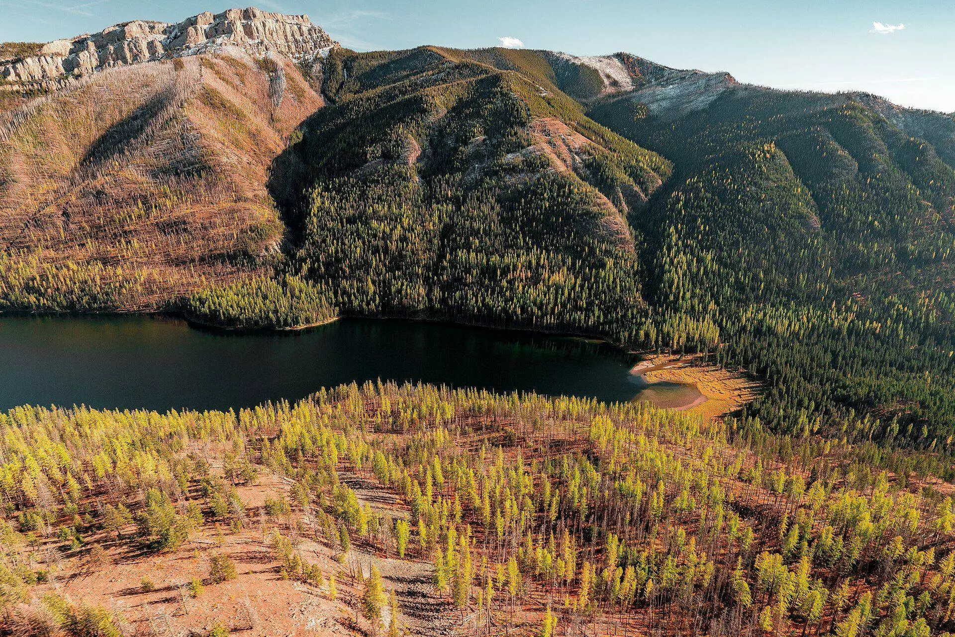 Golden autumn larches and silver snags on a slope above a dark mountain lake, with forested ridges and pale rock cliffs beyond