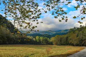 Open meadow in Cataloochee Valley ringed by forest, with cloud-capped Smoky Mountain ridges and autumn leaves framing the sky
