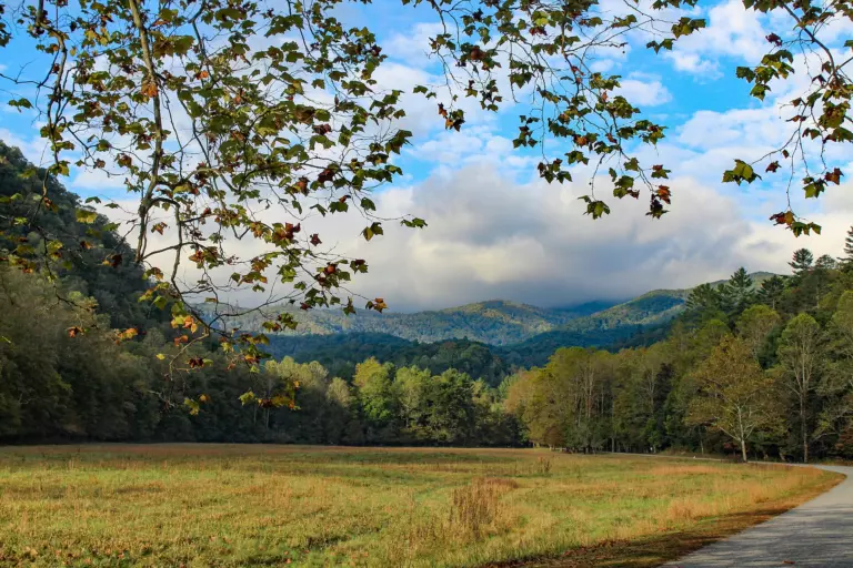 Open meadow in Cataloochee Valley ringed by forest, with cloud-capped Smoky Mountain ridges and autumn leaves framing the sky