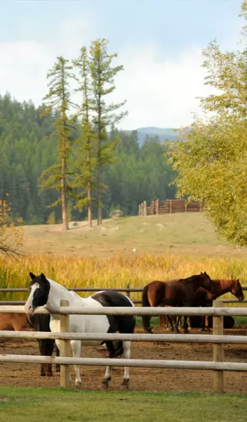 Red Crest Guest Ranch LLC