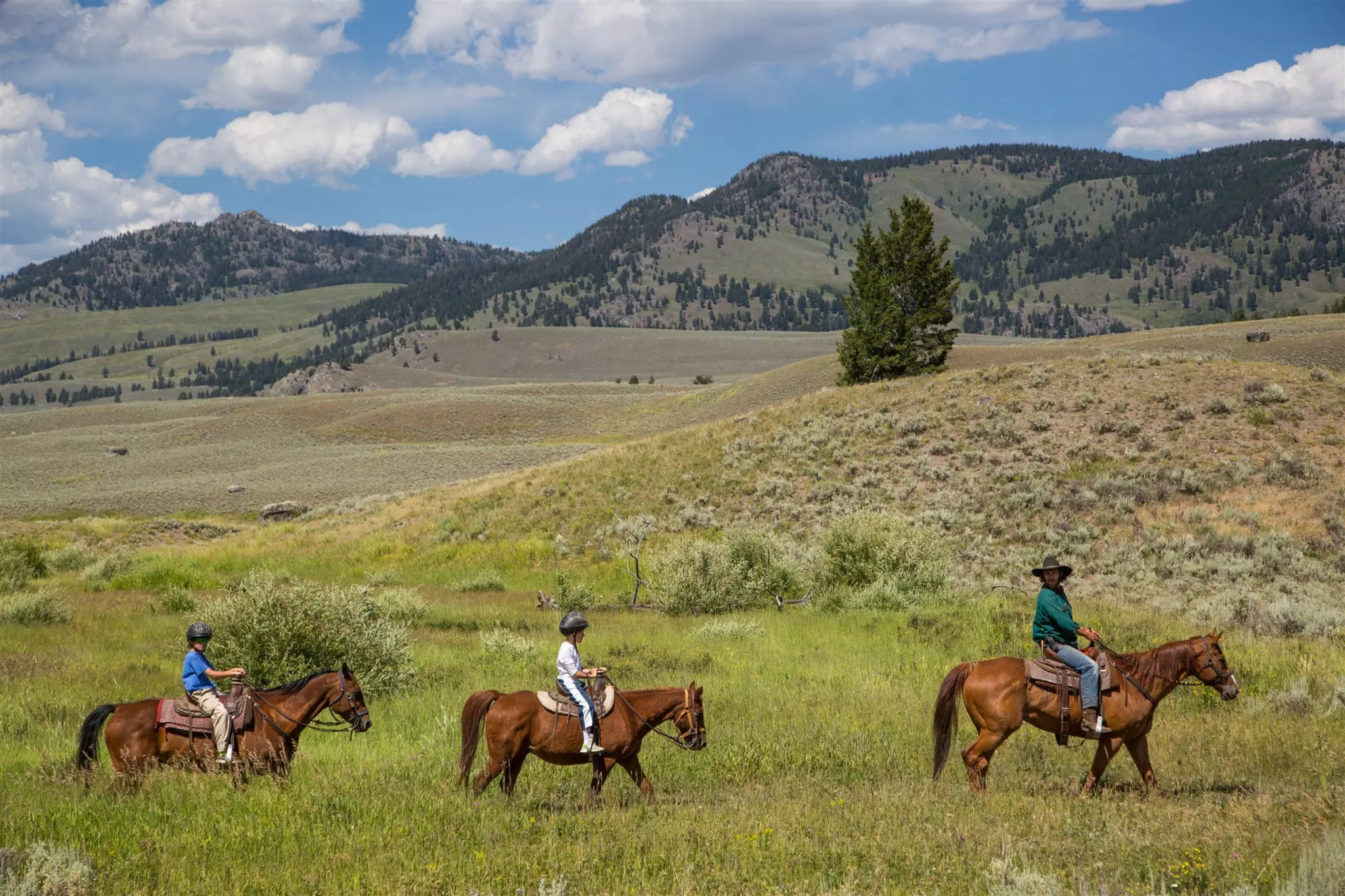 Two young riders in helmets and a wrangler ride single file through a green meadow below forested hills