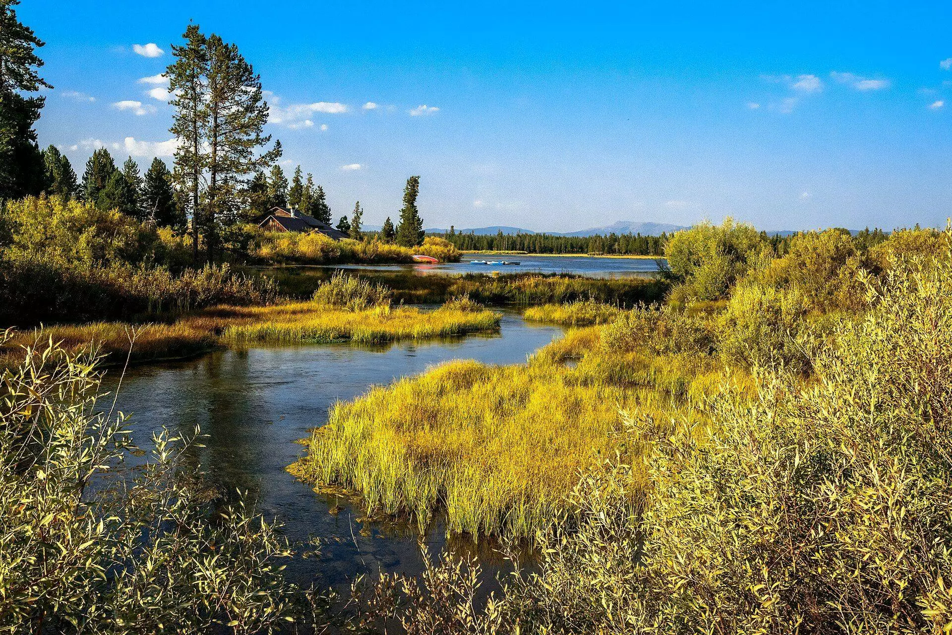 River winding through golden grasses toward a lake, pine forest and distant mountains